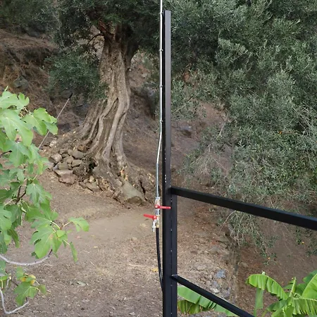 Star Sleep Rodakino *