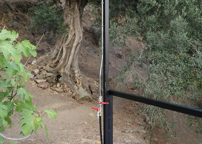 Star Sleep Rodakino *